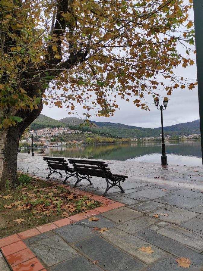 Voria Paralia Kastoria Bagian luar foto